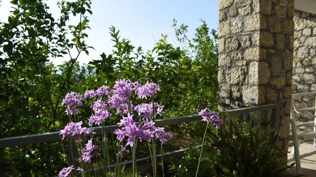 Coastal Stone Hideaway With Stunning Scenery Villa Kitriai Bagian luar foto